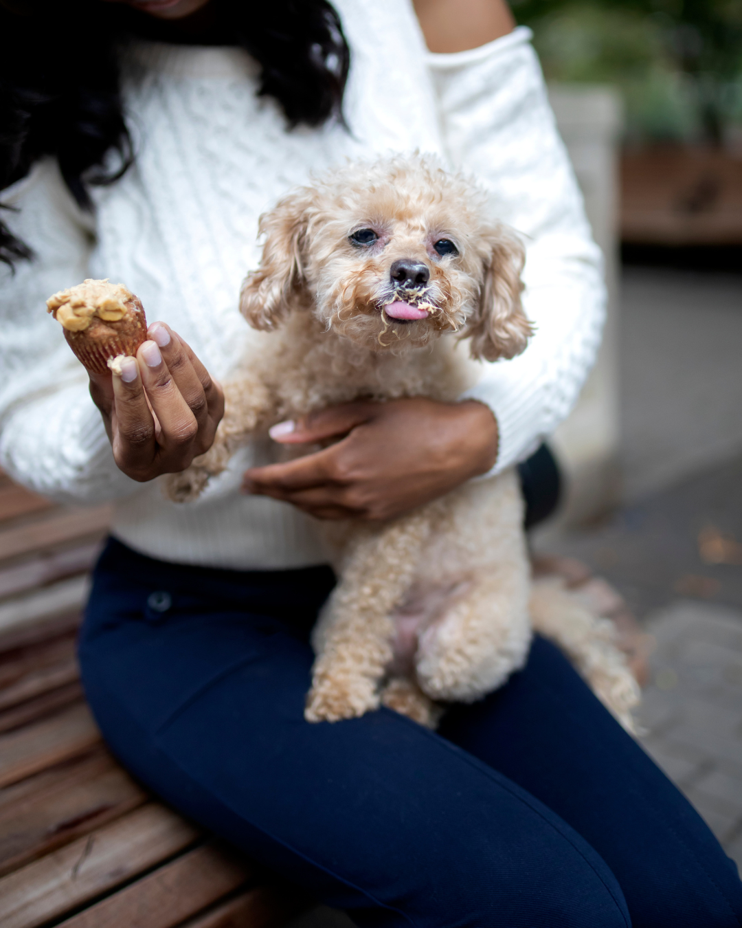 Love Taps by Pupcake Sugar Presents: PUPCAKE SOUL - Recipes to Celebrate Us and a Few Love Stories to Go with Them eBook