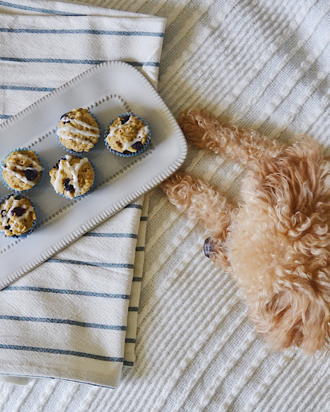 Love Taps by Pupcake Sugar Presents: SUGAR’S DISH - My Start from Scratch Story & 10 “Easy As Pupcake” Recipes to Try at Home eBook