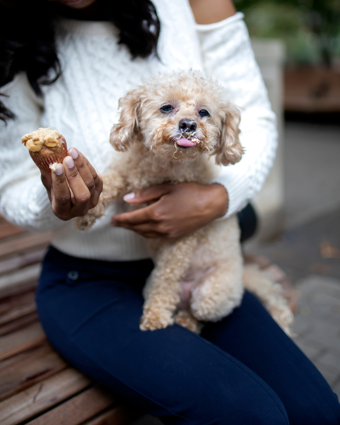 PUPCAKE SOUL: Recipes to Celebrate Us and a Few Love Stories to Go with Them eBook