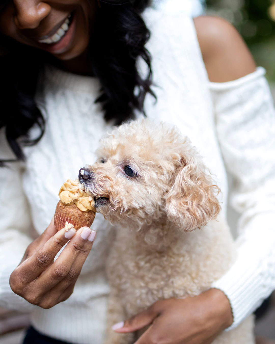 SUGAR’S DISH: My Start from Scratch Story & 10 “Easy As Pupcake” Recipes to Try at Home eBook